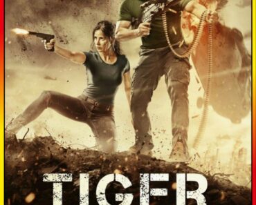 Download Tiger Zinda Hai (2017) BluRay Hindi Full Movie 480p [450MB] | 720p [1.4GB] | 1080p [3.3GB]