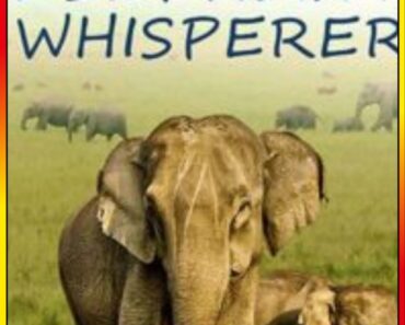 Download The Elephant Whisperers (2022) WEB-DL Dual Audio {Hindi + English} 480p [300MB] | 720p [470MB] | 1080p [1.4GB] | 2160p 4K [4.1GB]