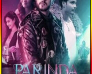 Download Parinda Paar Geyaa (2023) Punjabi Movie CHTV WEB-DL 480p [500MB] | 720p [1.4GB] | 1080p [3.5GB]