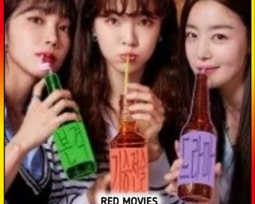 Download Work Later,Drink Now (Season 1) Hindi ORG Dubbed Complete K-Drama Series 480p | 720p WEB-DL