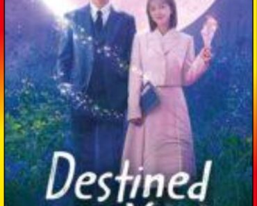 Download Destined With You – Netflix Original (2023) Season 1 Complete Dual Audio {Hindi-Korean} Series 480p | 720p | 1080p WEB-DL